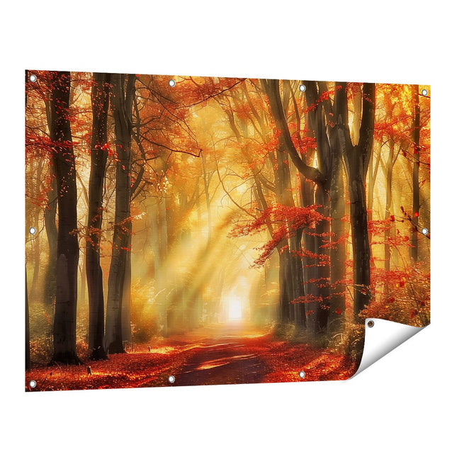Tuinposter vooraanzicht De Zon schijnt door de Bomen