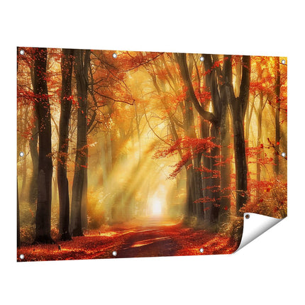 Tuinposter vooraanzicht De Zon schijnt door de Bomen
