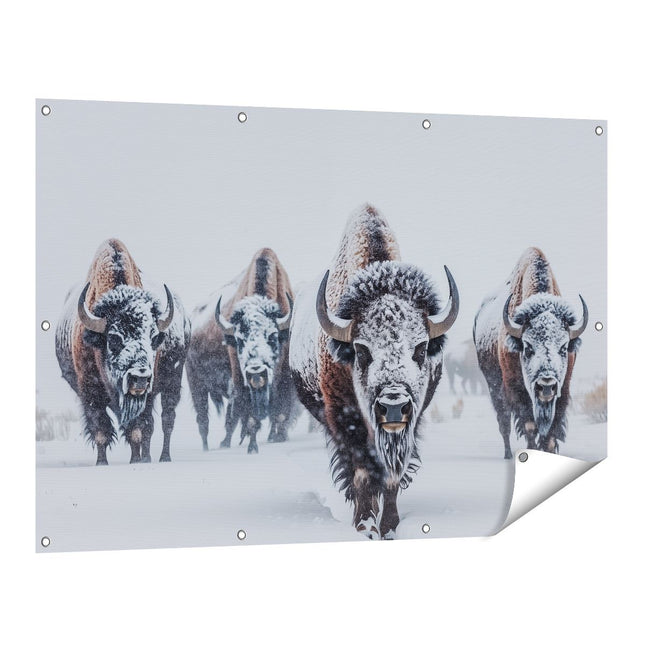 Tuinposter vooraanzicht Kudde Bizons die door de Sneeuw loopt