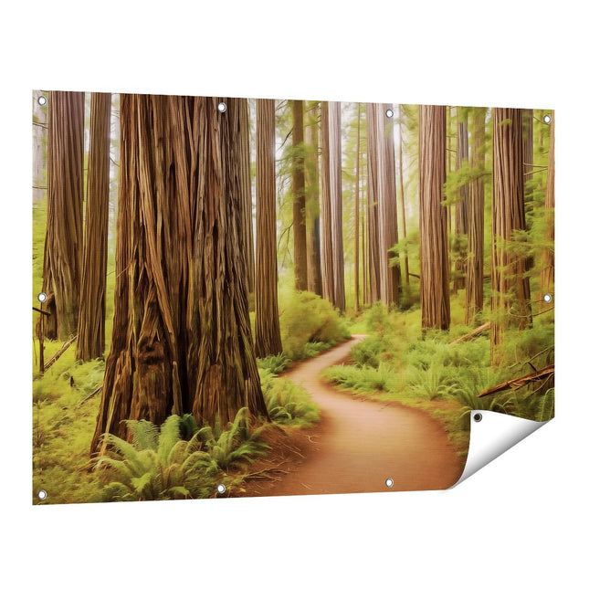 Tuinposter vooraanzicht Pad door een Sequoiabos