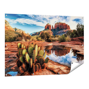 Tuinposter vooraanzicht Cactusplant Wordt Weerspiegeld in een Vijver in Sedona, Arizona