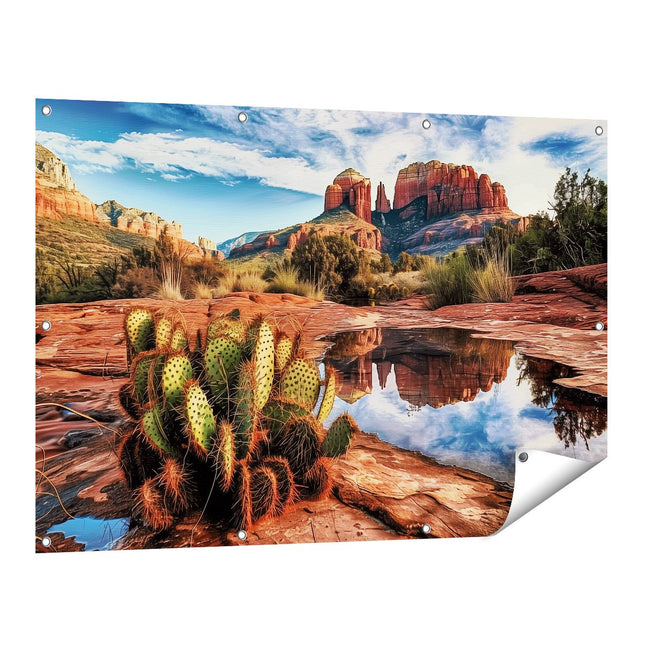 Tuinposter vooraanzicht Cactusplant Wordt Weerspiegeld in een Vijver in Sedona, Arizona