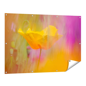 Tuinposter vooraanzicht Enkele Gele Klaproos in een Veld met Kleurrijke Bloemen