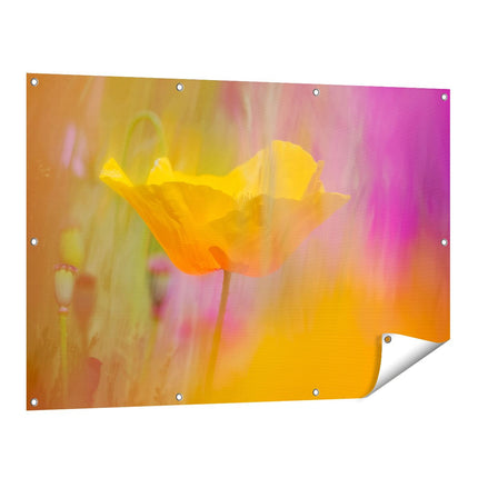 Tuinposter vooraanzicht Enkele Gele Klaproos in een Veld met Kleurrijke Bloemen