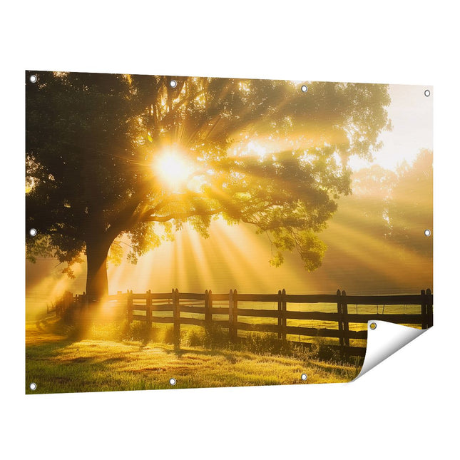 Tuinposter vooraanzicht Zonnestralen Komen door een Boom in een Veld