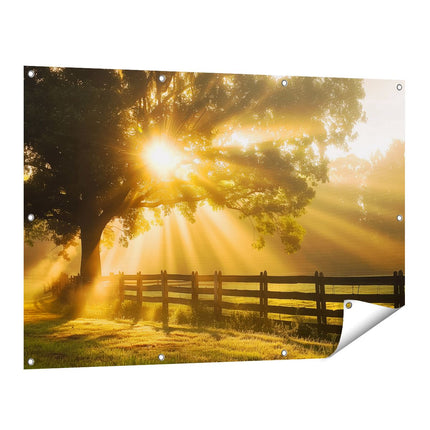 Tuinposter vooraanzicht Zonnestralen Komen door een Boom in een Veld