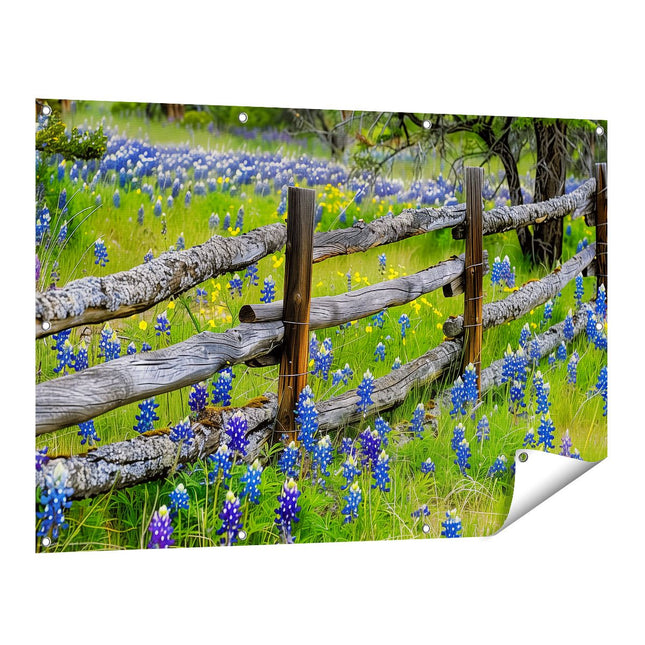 Tuinposter vooraanzicht Hek, Bluebonnets, Texas