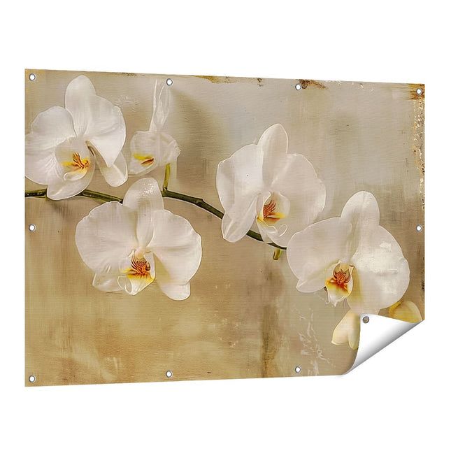 Tuinposter vooraanzicht Witte Orchideeën op een Tak