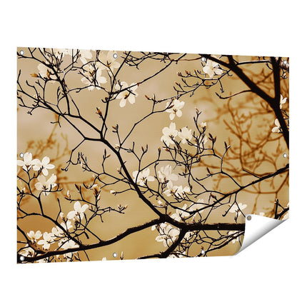 Tuinposter vooraanzicht Witte Bloemen aan een Boom
