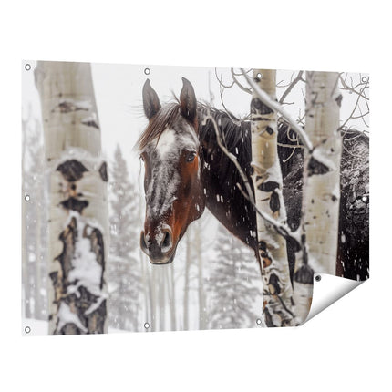 Tuinposter vooraanzicht Paard in de Sneeuw