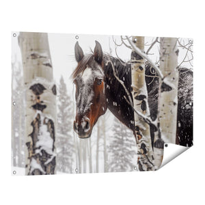 Tuinposter vooraanzicht Paard in de Sneeuw