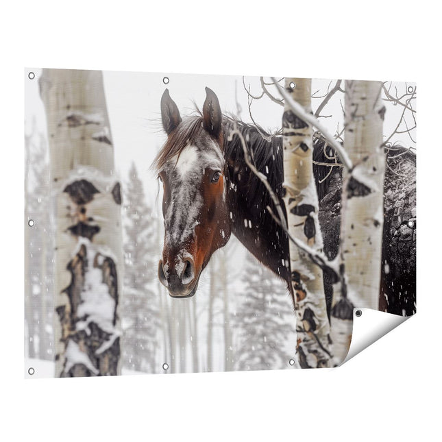 Tuinposter vooraanzicht Paard in de Sneeuw