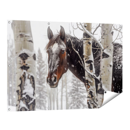 Tuinposter vooraanzicht Paard in de Sneeuw