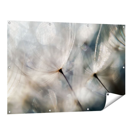 Tuinposter vooraanzicht Close-Up van een Paardebloem