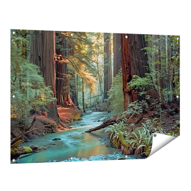Tuinposter vooraanzicht Stroom loopt door de Sequoia's