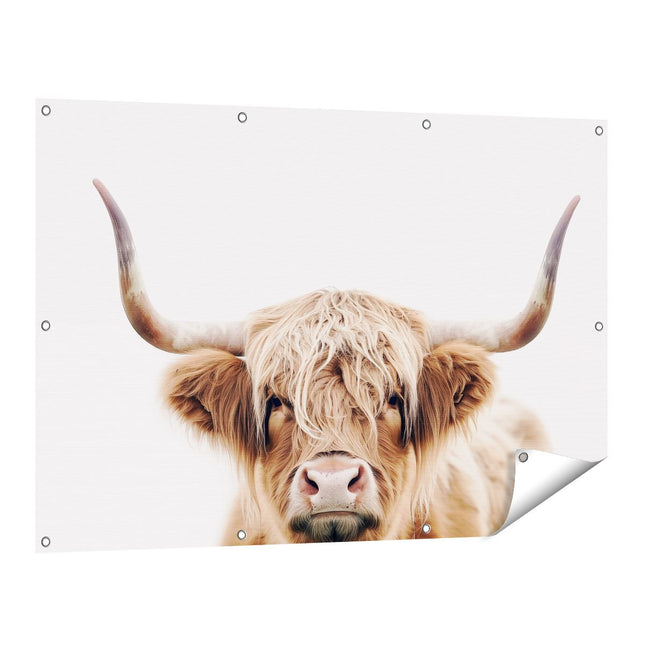 Tuinposter vooraanzicht Schotse Hooglandkoe met Hoorns