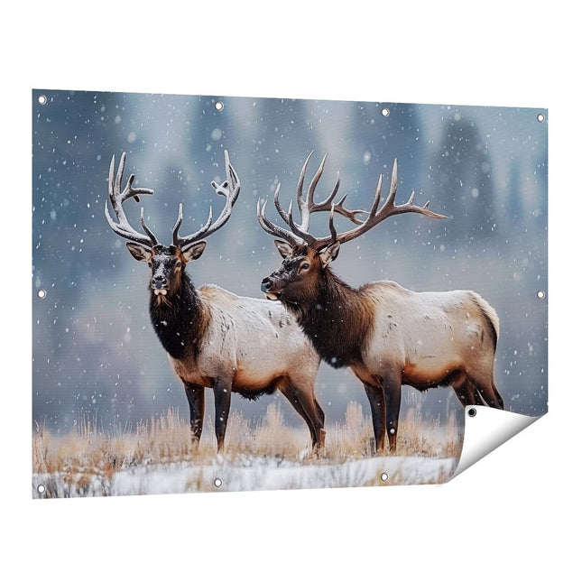 Tuinposter vooraanzicht Twee Elanden Staan ​​In de Sneeuw