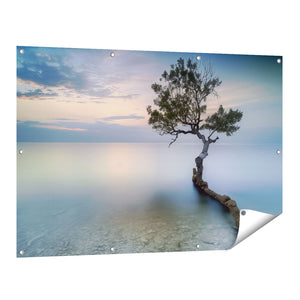 Tuinposter vooraanzicht Eenzame Boom op een Strand bij Zonsondergang