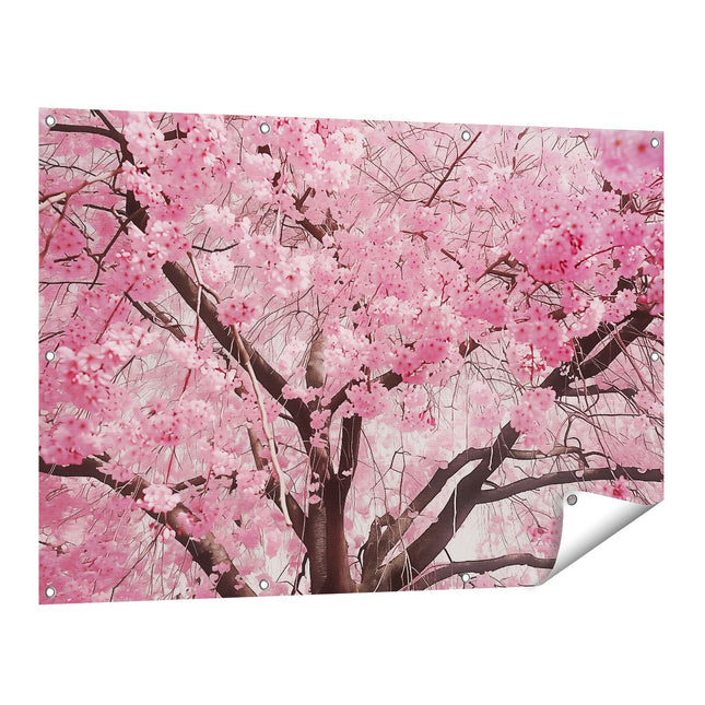 Tuinposter vooraanzicht Roze Kersenbloesems op een Boom