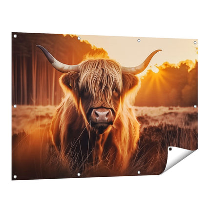 Tuinposter vooraanzicht Hooglandkoe die in een Veld Staat bij Zonsondergang