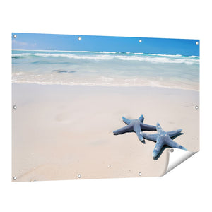Tuinposter vooraanzicht Twee Zeester op een Strand