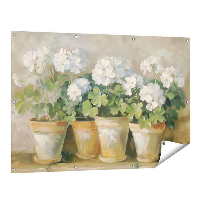 Tuinposter vooraanzicht Witte Geraniums in Potten