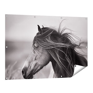 Tuinposter vooraanzicht Zwart Wit Afbeelding van een Paard
