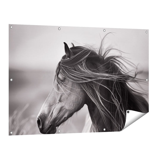 Tuinposter vooraanzicht Zwart Wit Afbeelding van een Paard