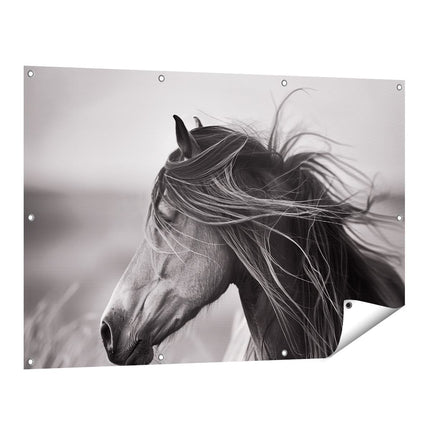 Tuinposter vooraanzicht Zwart Wit Afbeelding van een Paard