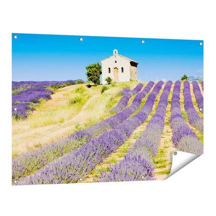 Tuinposter vooraanzicht Lavendel Panorama