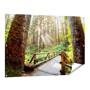 Tuinposter vooraanzicht Brug in het Bos