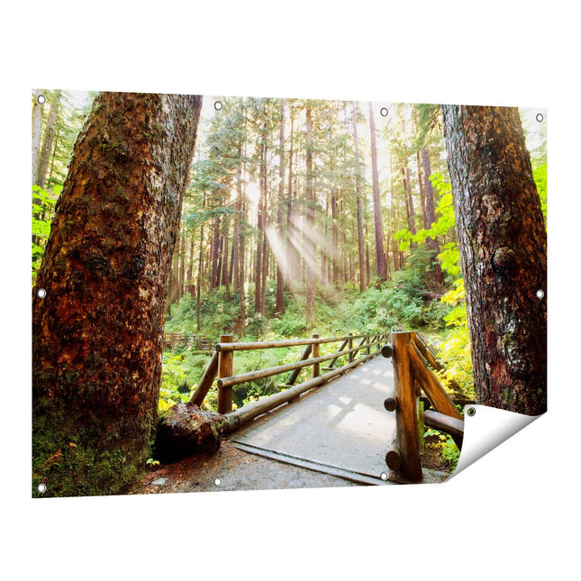 Tuinposter vooraanzicht Brug in het Bos