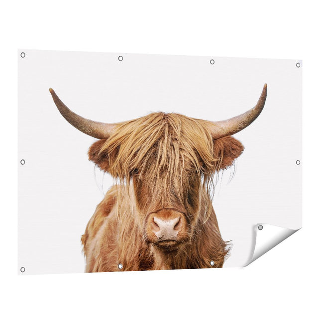 Tuinposter vooraanzicht Longhorn