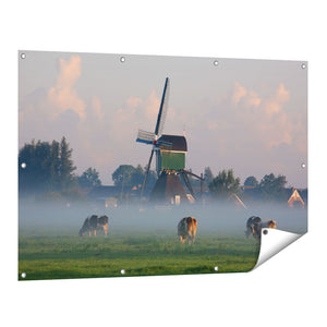 Tuinposter vooraanzicht Landschap met Koeien