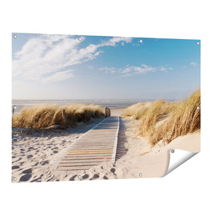 Tuinposter vooraanzicht Pad door Duinen