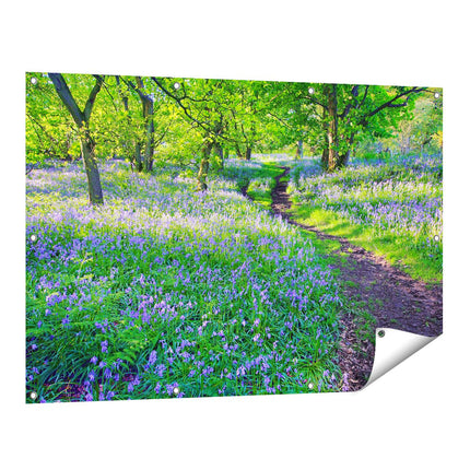 Tuinposter vooraanzicht Boshyacint in Bloei