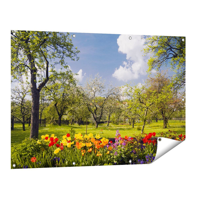 Tuinposter vooraanzicht Boomgaard in Bloei