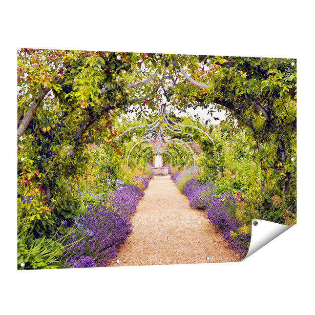 Tuinposter vooraanzicht Lavendel Pad