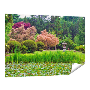 Tuinposter vooraanzicht Vijver met Lelie's