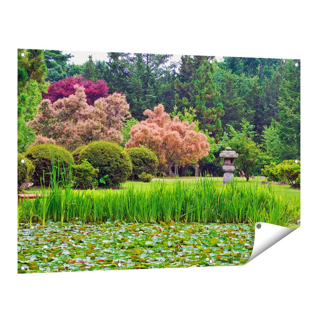 Tuinposter vooraanzicht Vijver met Lelie's