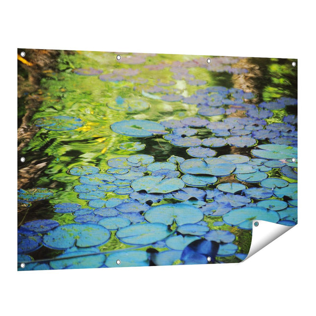 Tuinposter vooraanzicht Waterlelies