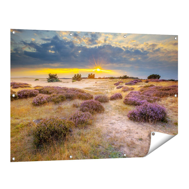Tuinposter vooraanzicht Heide