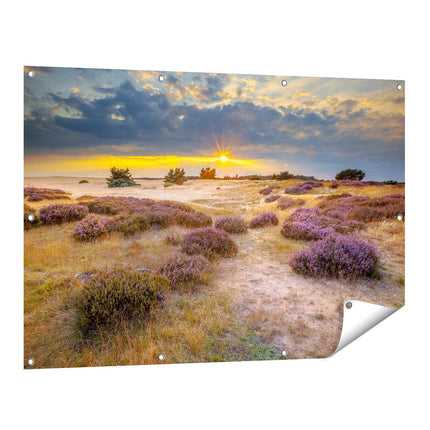 Tuinposter vooraanzicht Heide