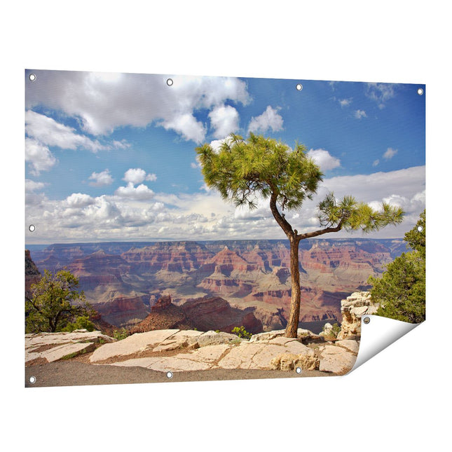 Tuinposter vooraanzicht Grand Canyon met Boom
