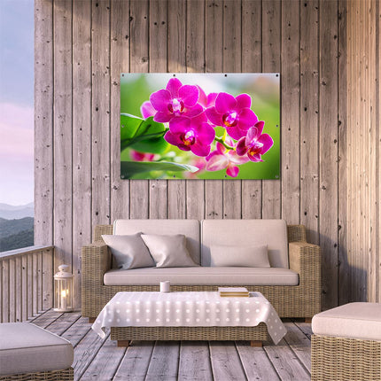 Tuinposter buiten terras Roze Orchidee Bloemen