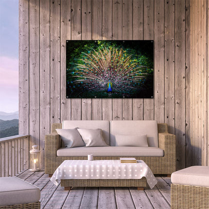 Tuinposter buiten terras Pauw Met Kleurrijke Veren - Kleur