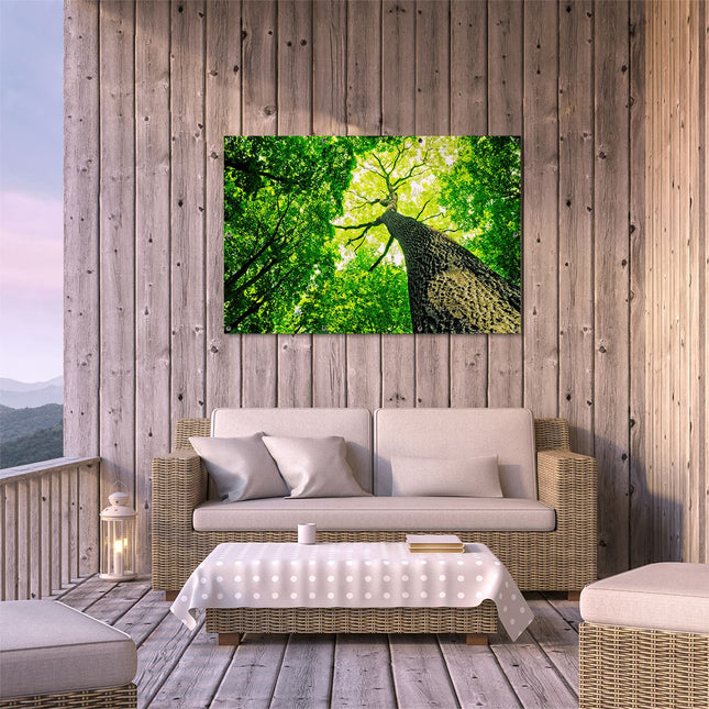 Tuinposter buiten terras Boom In Het Bos Met Fel Groene Bladeren