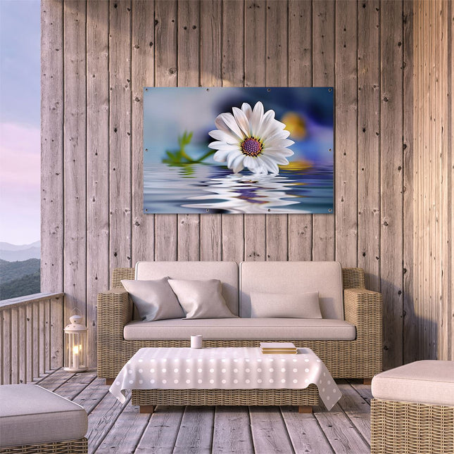 Tuinposter buiten terras Witte Margriet Weerspiegeld in Water