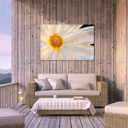 Tuinposter buiten terras Close-Up van een Witte Bloem