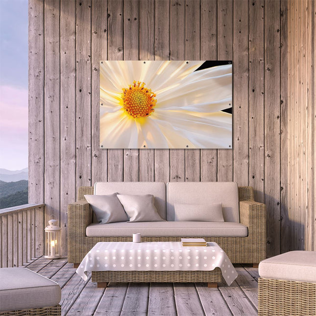 Tuinposter buiten terras Close-Up van een Witte Bloem